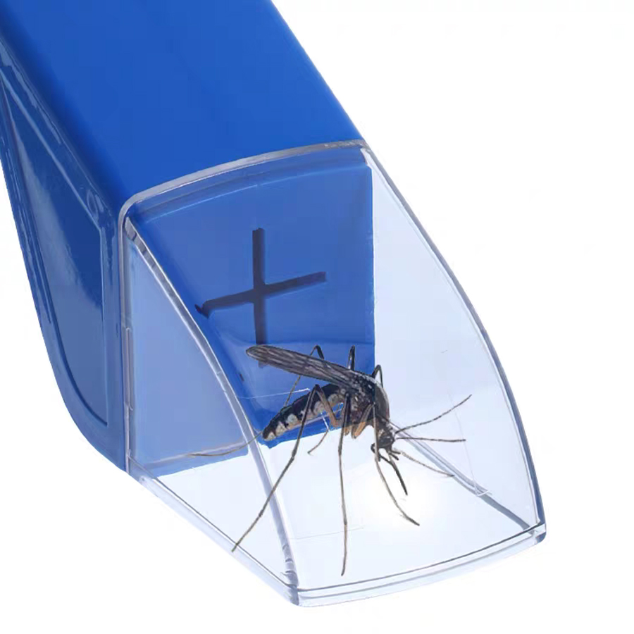 子供用昆虫観察箱 拡大鏡付き 昆虫観察器 屋外自然探検 生物 - Kids Outdoor Nature Toys のレビューと価格