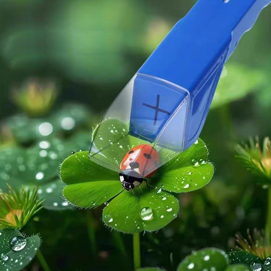 子供用昆虫観察箱 拡大鏡付き 昆虫観察器 屋外自然探検 生物 - Kids Outdoor Nature Toys のレビューと価格